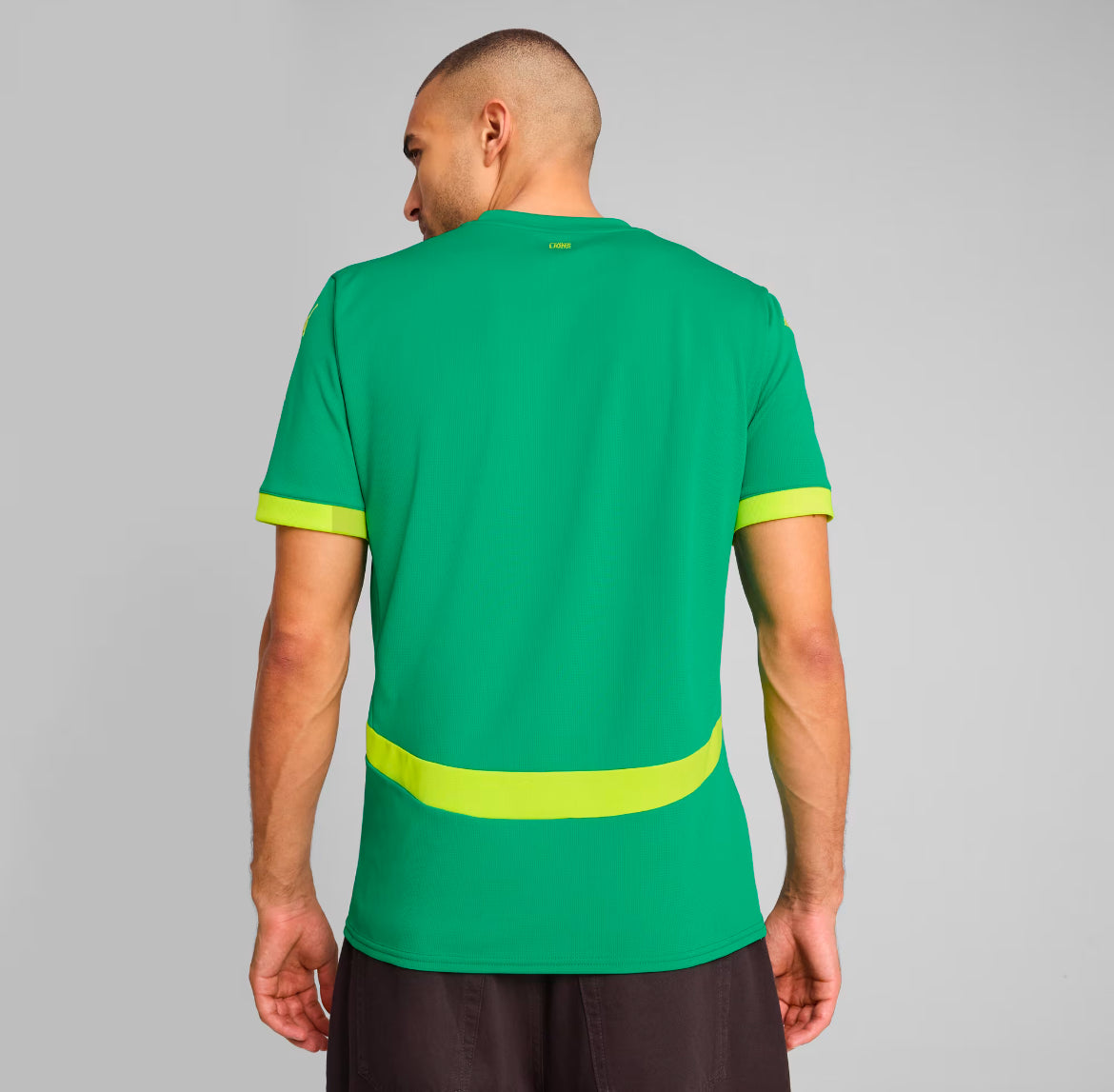 Maillot Officiel de l’Équipe Nationale du Sénégal - Design Moderne et Inspiré du Lion