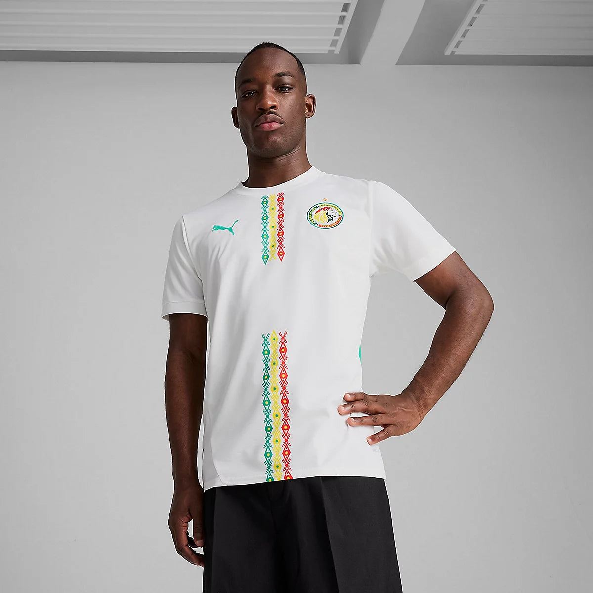 Maillot Officiel de l’Équipe Nationale du Sénégal - Design Moderne et Inspiré du Lion