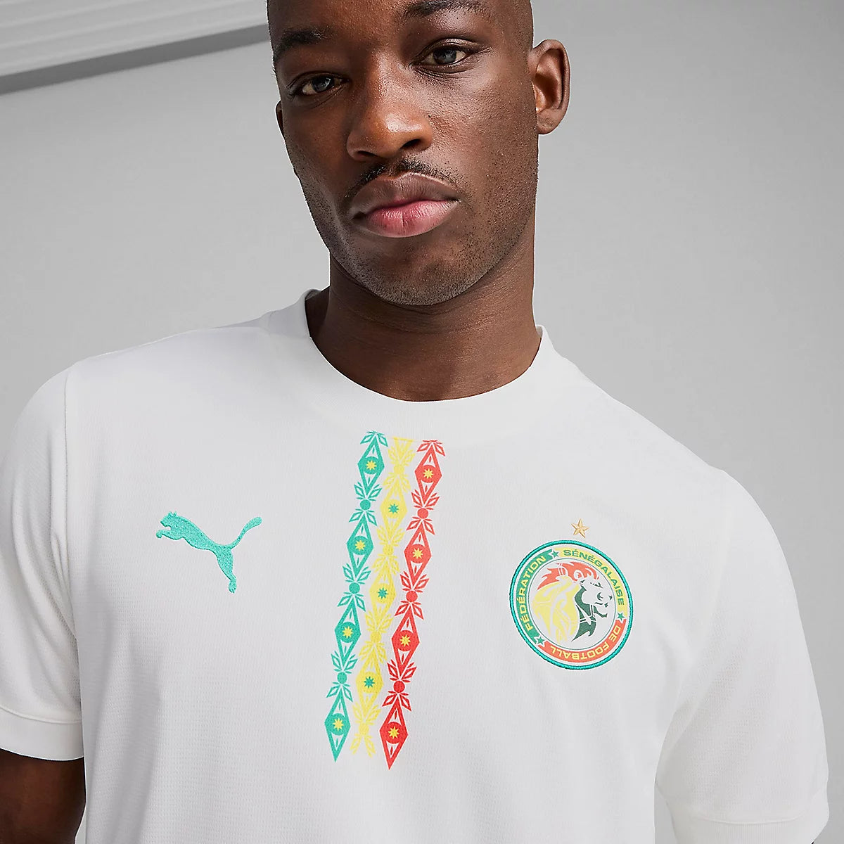 Maillot Officiel de l’Équipe Nationale du Sénégal - Design Moderne et Inspiré du Lion